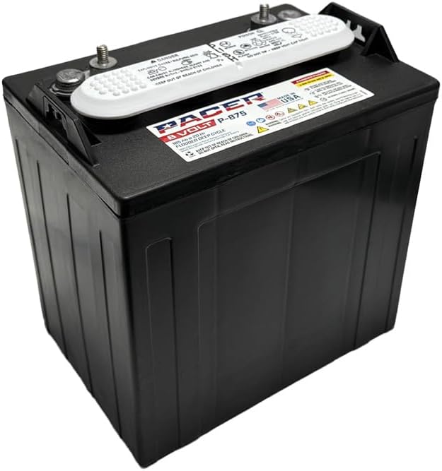 Pacer P-875 8V 165Ah